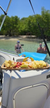 Découvrez le paradis du sud de l'île à bord de notre bateau Bayliner 2659 Rendezvous !