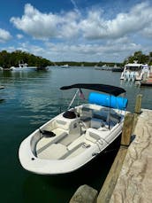 🐋Bayliner Element E16 for your boating adventure in Miami Beach!🦐