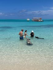 35ft Contender Express Snorkel/Beaching Charter in Nassau, Bahamas