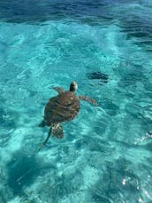 35ft Contender Express Snorkel/Beaching Charter in Nassau, Bahamas