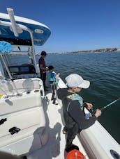 2022 Seahunt Ultra 275 Center Console, BRICK NJ