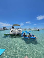 Crab Island Tours with the Sleek 242 Limited S Yamaha Boat Experience