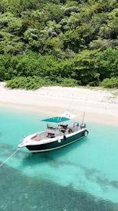 Visites privées et plongée avec tuba aux îles Icacos et Palomino - Grady White 27'