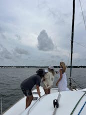 Magnifique catamaran à voile de 41 pieds, parfait pour se prélasser, nager et naviguer