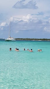 Tutrles, Snorkeling Beach day!