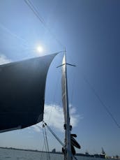 Navegación en catamarán por la bahía de San Diego, espaciosa y estable, navega con un gato divertido