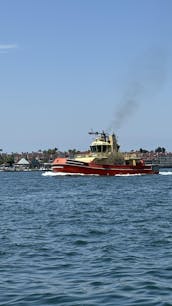 Navegación en catamarán por la bahía de San Diego, espaciosa y estable, navega con un gato divertido