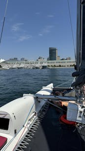 Navegación en catamarán por la bahía de San Diego, espaciosa y estable, navega con un gato divertido