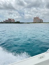 Snorkeling, swimming pigs, turtles, and a harbor tour in Nassau, Bahamas!