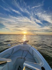 Une chasse en mer magnifique et super propre de 21 pieds à Charleston, en Caroline du Sud