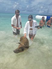 Snorkeling, swimming pigs, turtles, and a harbor tour in Nassau, Bahamas!