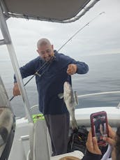 Private Charters out of Huntington Beach, California|Fishing, luxury Charters  