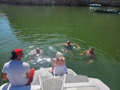 Learn to wake or just a day on the lake! With captain Ed at lake pleasant!