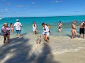 Nassau: Luxury tours ; turtles, pigs, snorkeling, beach time.Platinum Experience