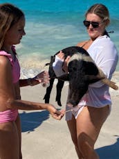 Nassau: Luxury tours ; turtles, pigs, snorkeling, beach time.Platinum Experience