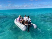 Nassau: Luxury tours ; turtles, pigs, snorkeling, beach time.Platinum Experience