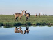 Boat Tours in Chobe National Park