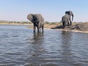 Boat Tours in Chobe National Park