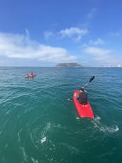 30ft Sailing Yatch. Real & Unique Sailing in Mazatlán