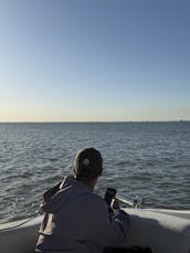 Visite guidée en croisière de notre port historique et observation des dauphins