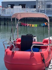 Electric Boat Rentals in San Diego Bay! Day date idea! Dog Friendly experience!