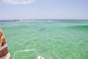 4 Hour Private Charter in Destin, FL! Crab Island, Snorkeling, Dolphins & More!
