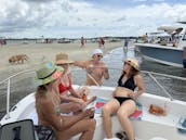 Discover Coastal Beauty with the Boston Whaler 200 Dauntless