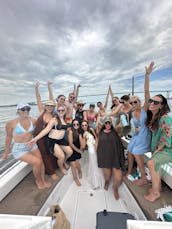 Croisière privée en bateau avec observation des dauphins dans le port de Charleston