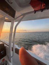 Charter privado de luxo - cruzeiro, festa, diversão! - Sea Hunt 265 Ultra de 26'