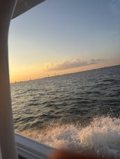 Charter privado de luxo - cruzeiro, festa, diversão! - Sea Hunt 265 Ultra de 26'