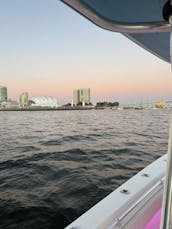 La mejor atracción de la ciudad. Recorrido por la bahía, crucero al atardecer o con delfines, chárter de pesca...