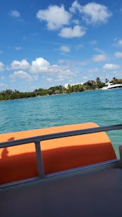 2020 Sea Water Pontoon Boat Rental in Miami Beach, Florida