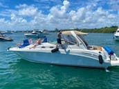 Sundancer 39' Party yacht ready for adventure!  (WEEKDAY SPECIAL)