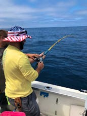 Bayliner Trophy 22ft Sport Fishing in La Jolla/ Mission Bay
