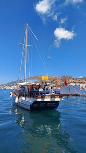 Private charter for daily boat trip on sailing Gulet PN for 12 people in Bodrum