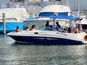 Sundeck Powerboat for Charter! Great boat for friends and family party’s.