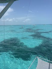   #1 CHARTER IN KEY LARGO!! sandbar trips,  island hopping, reef tours.’!