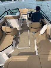 23ft Sea Ray SPX 230 Day Charter/Boat for rental in Bay Harbor Islands