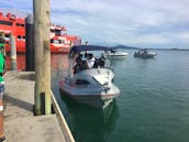 Hire a MAC 420 Fisherman boat in Auckland, Half Moon Bay