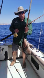 31ft Bertram Sport Fisherman in Cabo San Lucas, Mexico