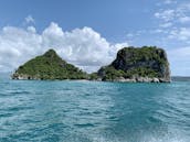 Charter private Speed Boat in Ko Samui, Thailand