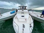 40ft Formula and 50ft Searay Yacht Pair for up to 26 people
