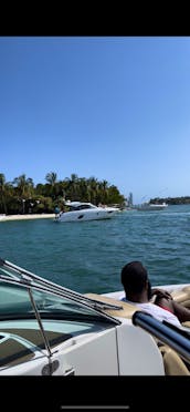 Spectacular Sandbar&Skyline Miami Boat Tour-No Hidden Fees