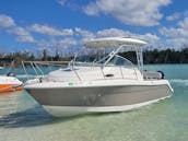 Robalo R245 Twin Engine Power Boat for RENT in Naples, Marco Island, Bonita