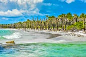 Fast 500 Hp Luxury 30 Foot Island Hopper in Sarasota, FL
