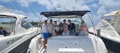 Increíble Searay 35 XLE: mucha diversión con estilo en Cancún