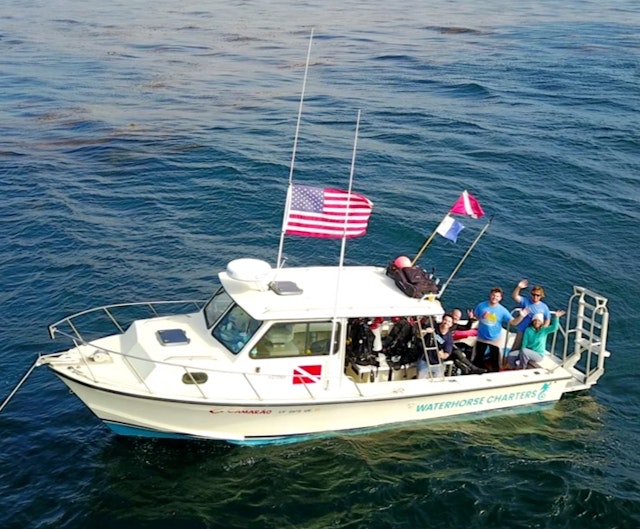 Private Diving Charter in San Diego