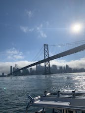 Aluguel de barcos Protector RIB de 28 pés na área da Baía de São Francisco, Richmond, Berkeley