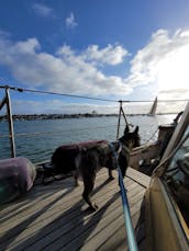 Croisière en bateau pirate avec défilé de Noël à Newport Beach, Californie