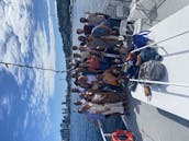 One of A Kind Tourboat Adventure for Your Next Event in Seattle